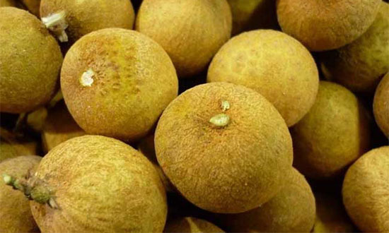 �����ϻ��� ���۵Ĺ�Ч������